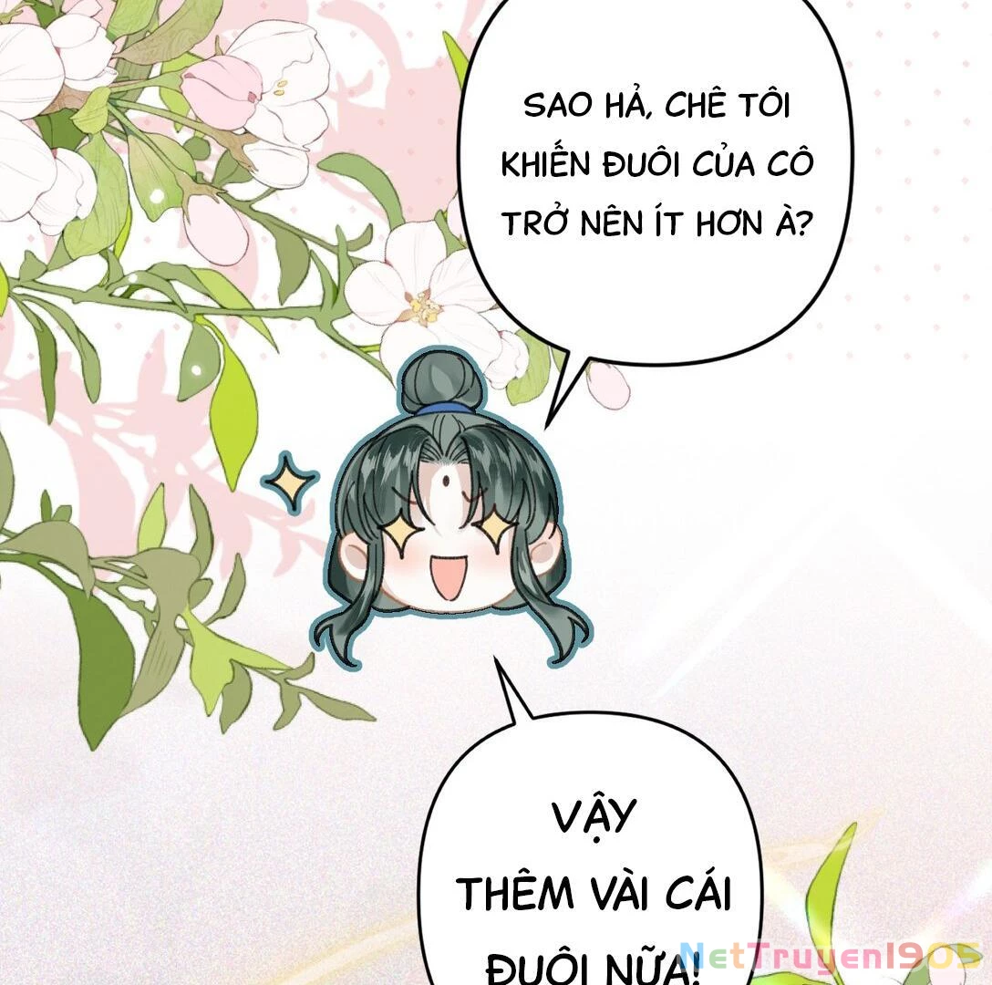 Đông Hải Tìm Mỹ Nhân Chapter 14 - Trang 2