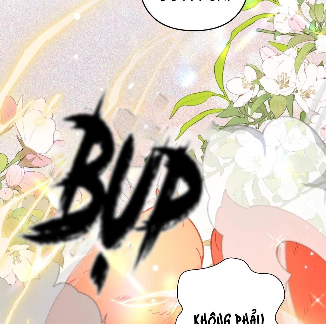 Đông Hải Tìm Mỹ Nhân Chapter 14 - Trang 2