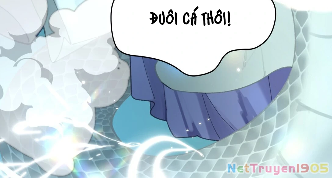 Đông Hải Tìm Mỹ Nhân Chapter 14 - Trang 2