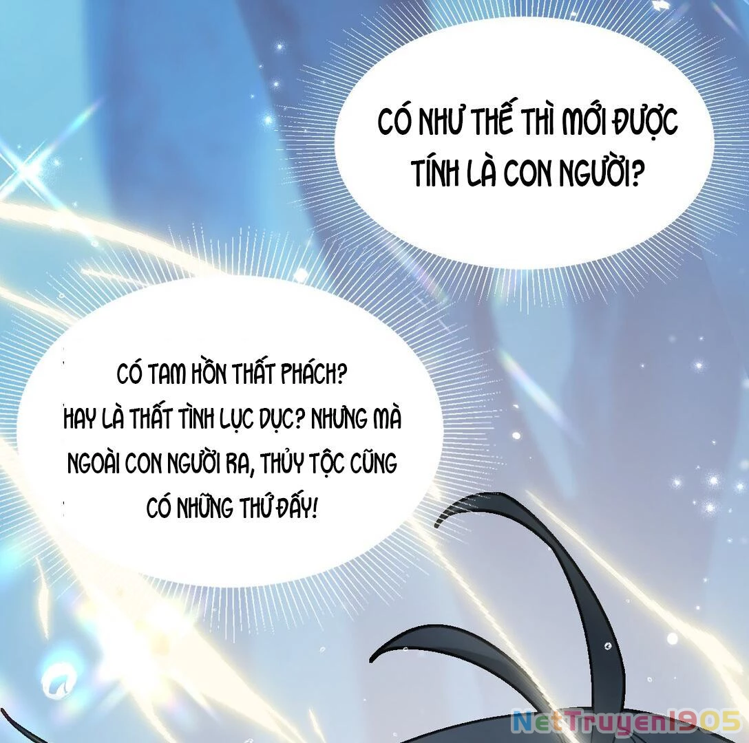 Đông Hải Tìm Mỹ Nhân Chapter 14 - Trang 2