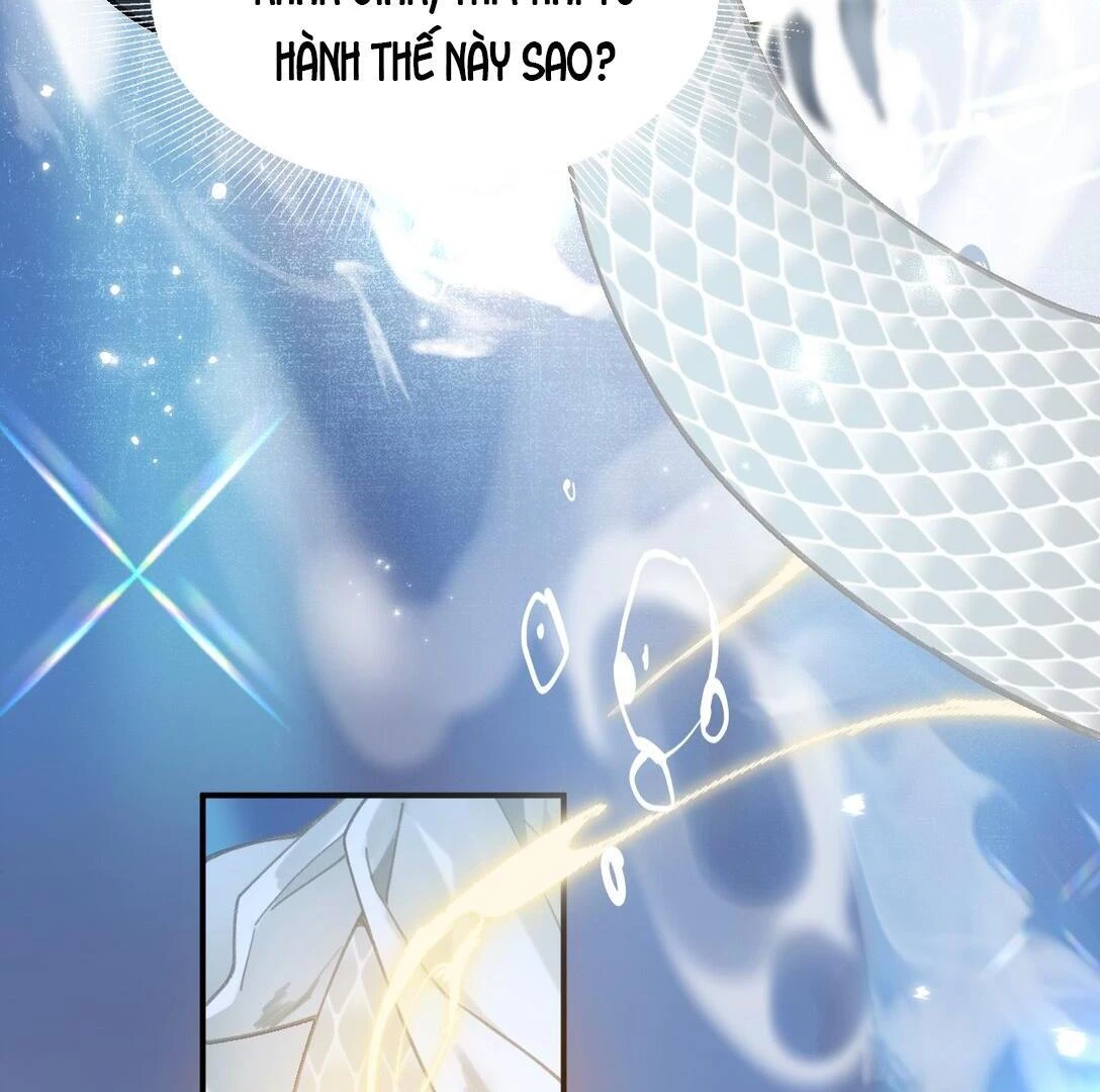 Đông Hải Tìm Mỹ Nhân Chapter 14 - Trang 2