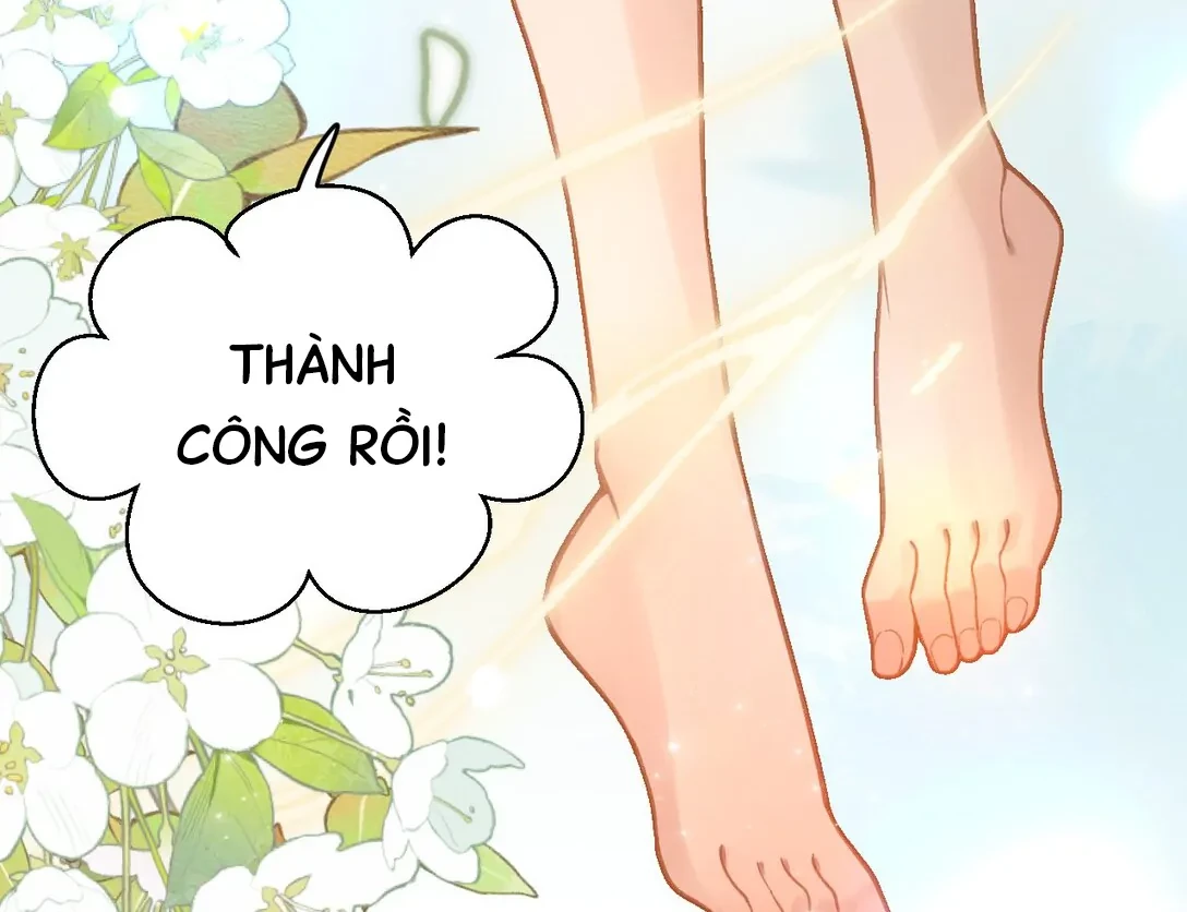 Đông Hải Tìm Mỹ Nhân Chapter 14 - Trang 2