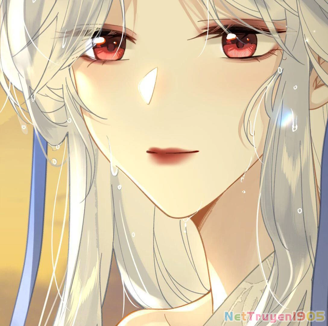 Đông Hải Tìm Mỹ Nhân Chapter 14 - Trang 2