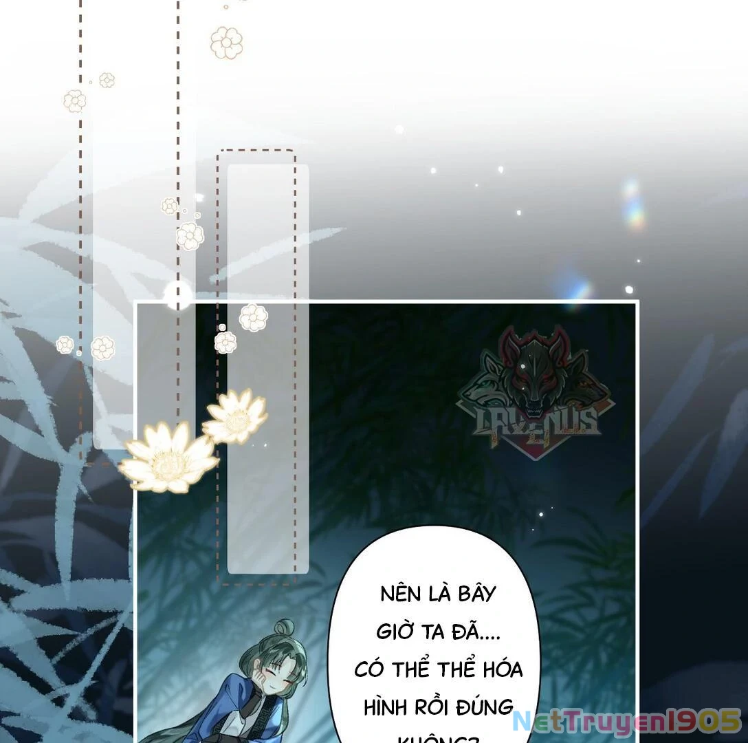 Đông Hải Tìm Mỹ Nhân Chapter 14 - Trang 2