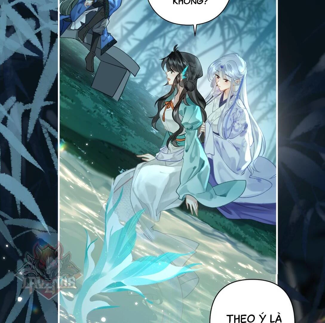 Đông Hải Tìm Mỹ Nhân Chapter 14 - Trang 2