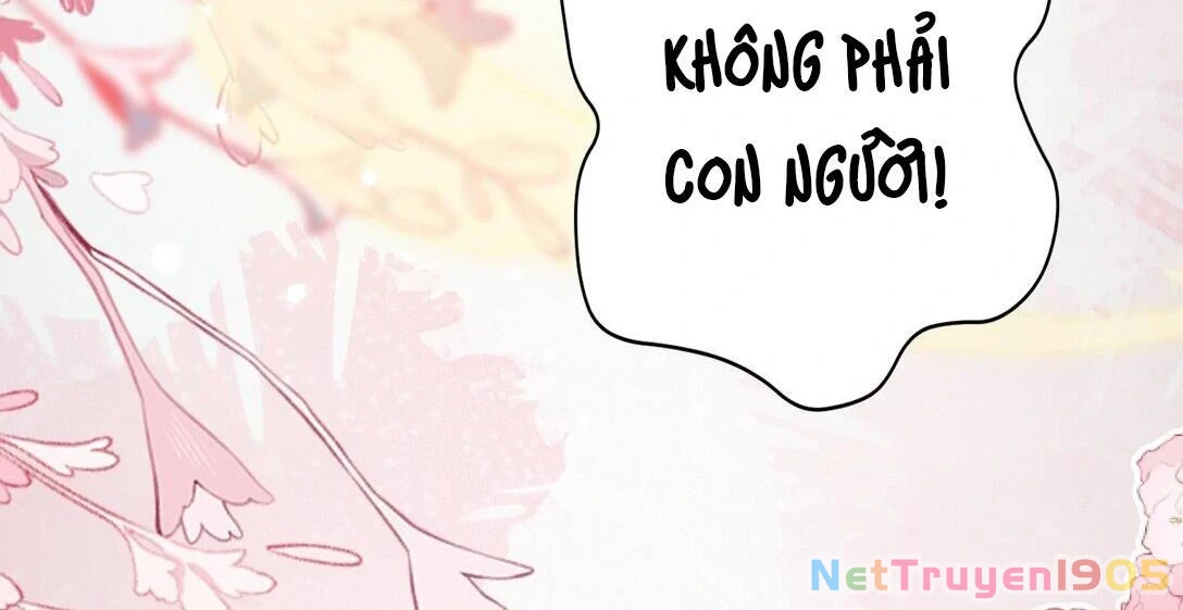 Đông Hải Tìm Mỹ Nhân Chapter 14 - Trang 2