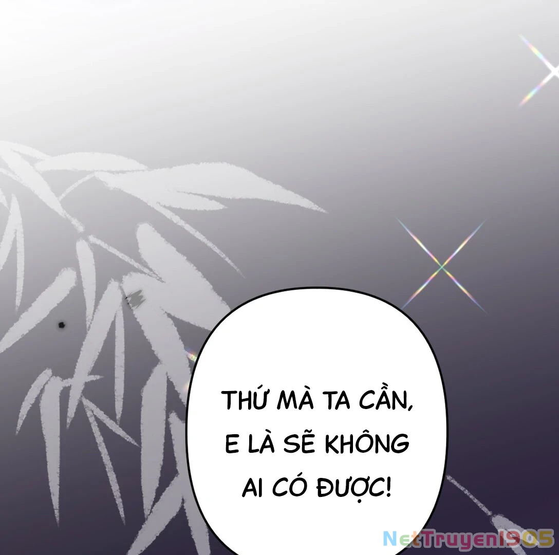 Đông Hải Tìm Mỹ Nhân Chapter 15 - Trang 2