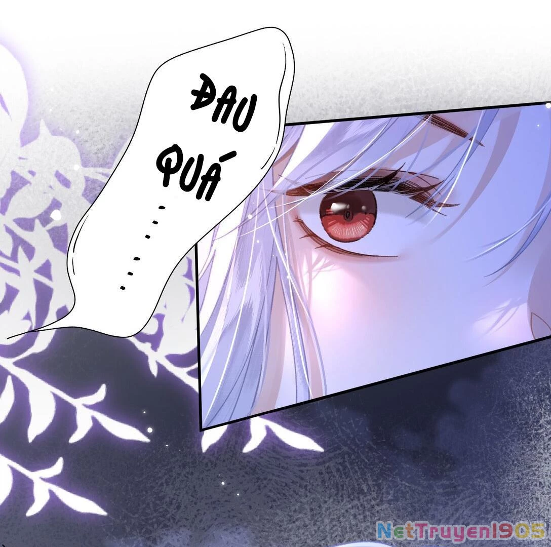 Đông Hải Tìm Mỹ Nhân Chapter 16 - Trang 2