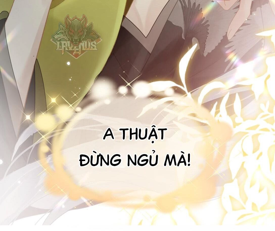 Đông Hải Tìm Mỹ Nhân Chapter 16 - Trang 2