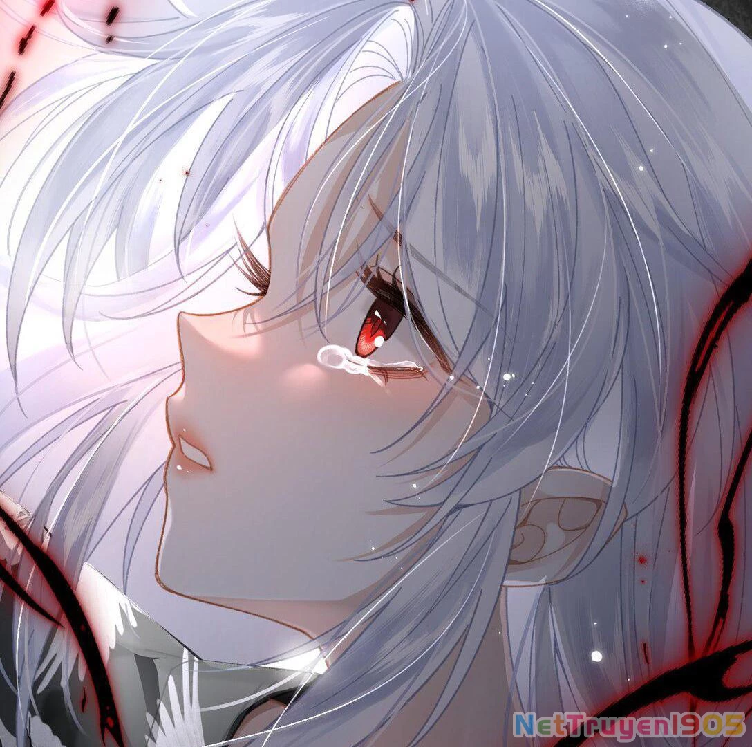 Đông Hải Tìm Mỹ Nhân Chapter 16 - Trang 2