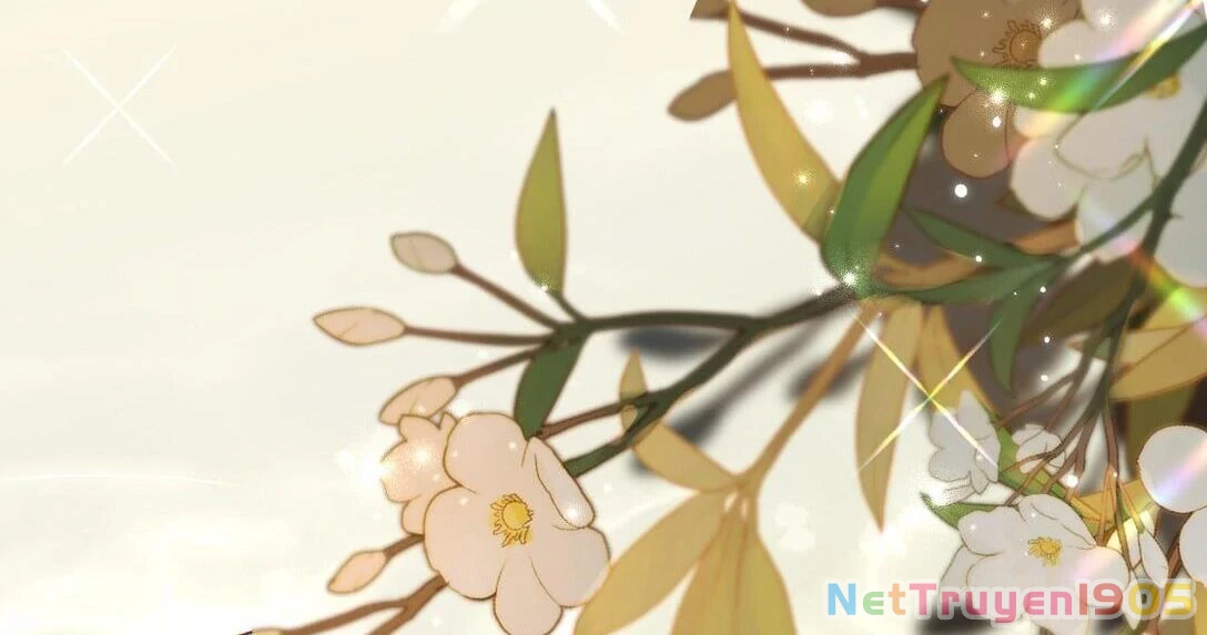 Đông Hải Tìm Mỹ Nhân Chapter 16 - Trang 2