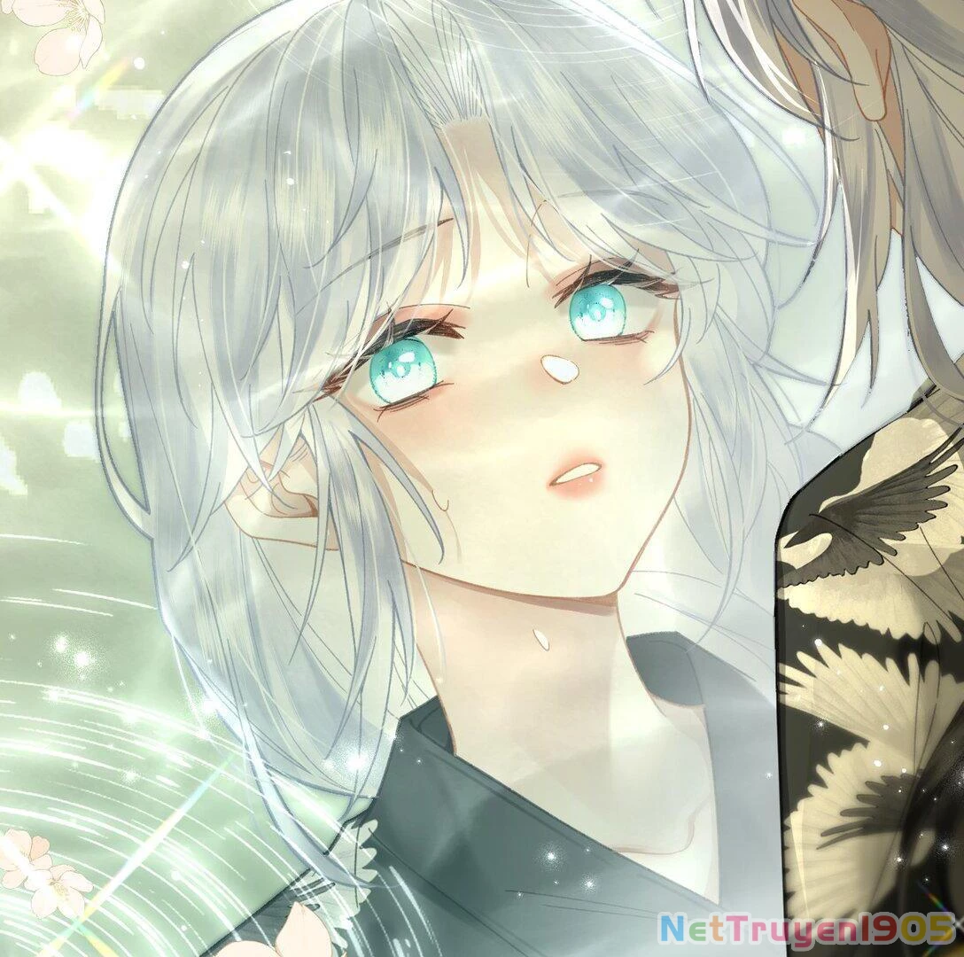 Đông Hải Tìm Mỹ Nhân Chapter 16 - Trang 2