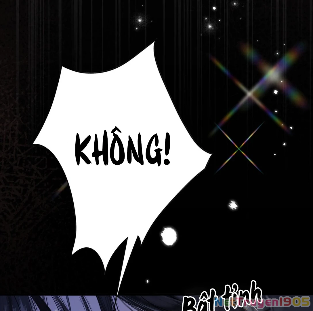 Đông Hải Tìm Mỹ Nhân Chapter 16 - Trang 2