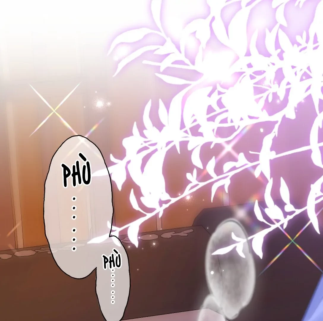 Đông Hải Tìm Mỹ Nhân Chapter 16 - Trang 2