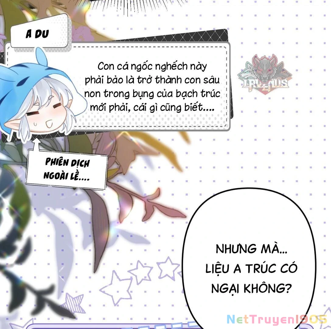 Đông Hải Tìm Mỹ Nhân Chapter 17 - Trang 2