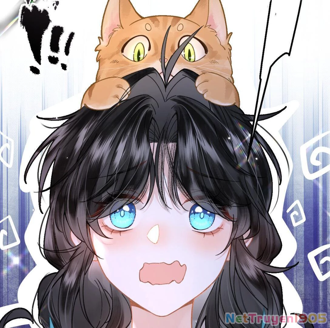 Đông Hải Tìm Mỹ Nhân Chapter 17 - Trang 2