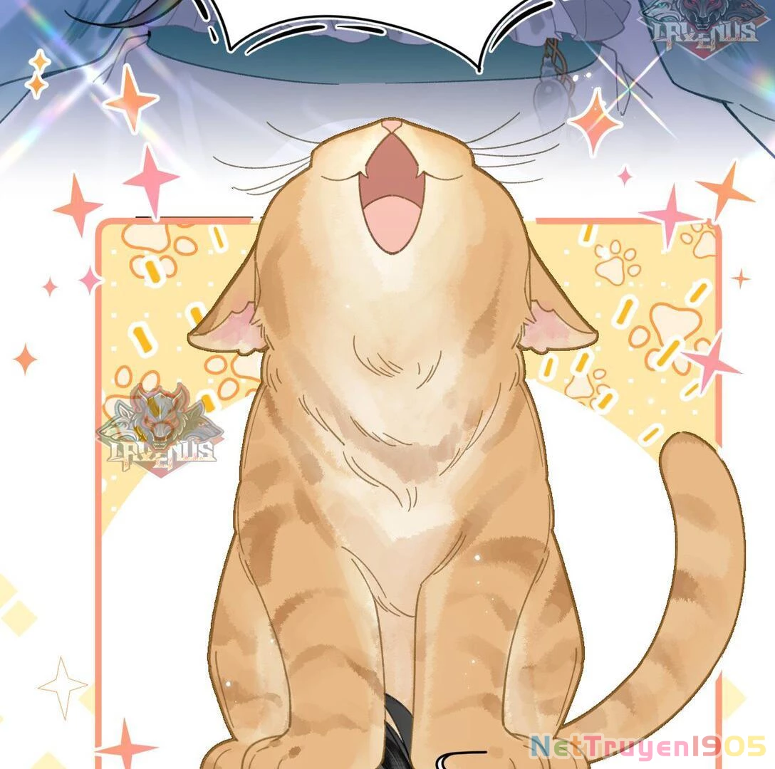 Đông Hải Tìm Mỹ Nhân Chapter 17 - Trang 2