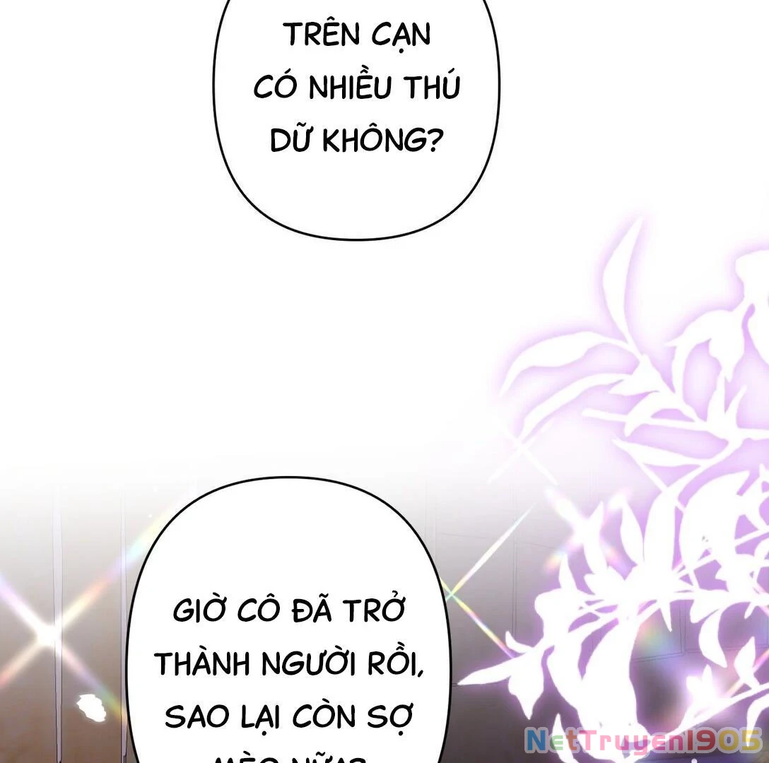 Đông Hải Tìm Mỹ Nhân Chapter 17 - Trang 2