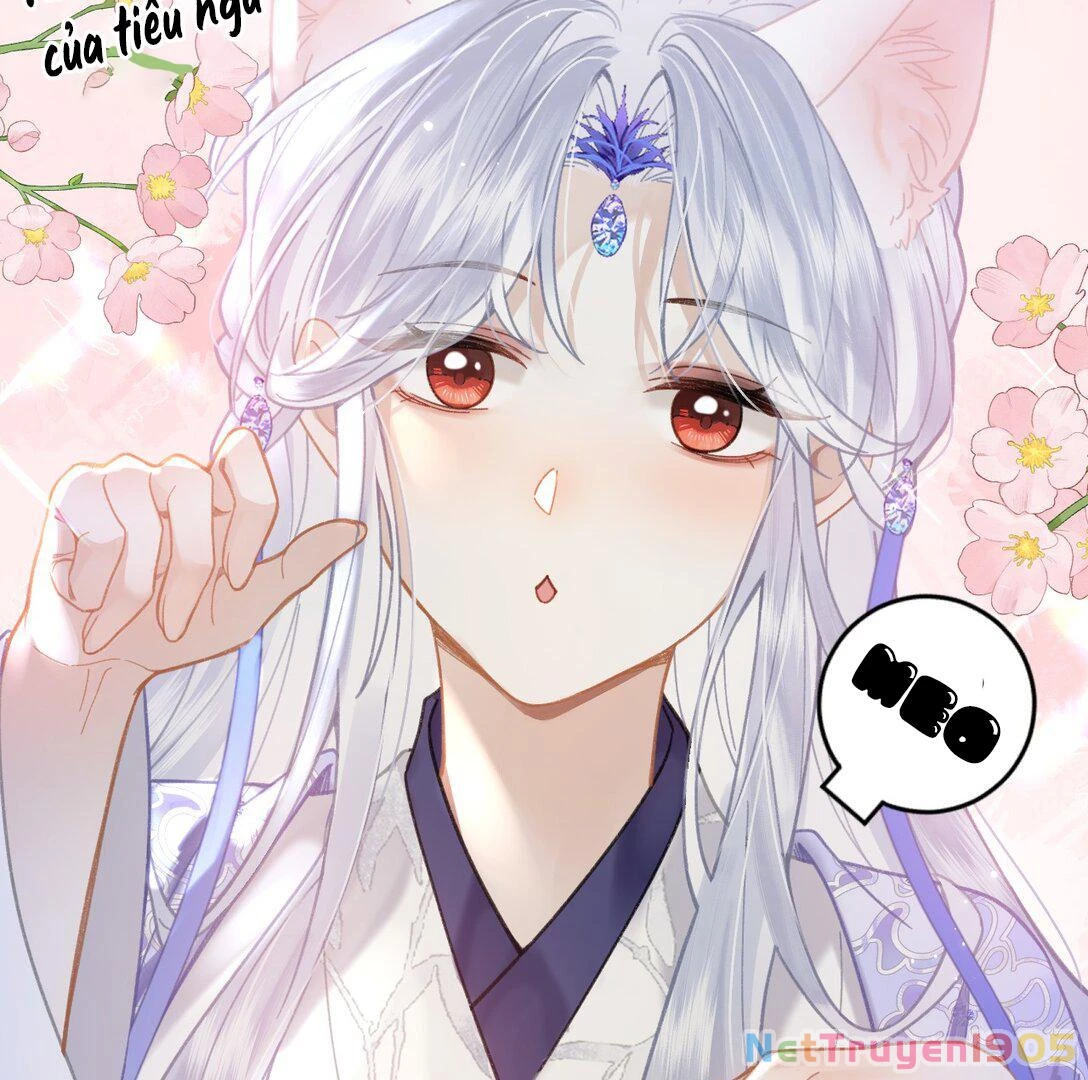 Đông Hải Tìm Mỹ Nhân Chapter 17 - Trang 2