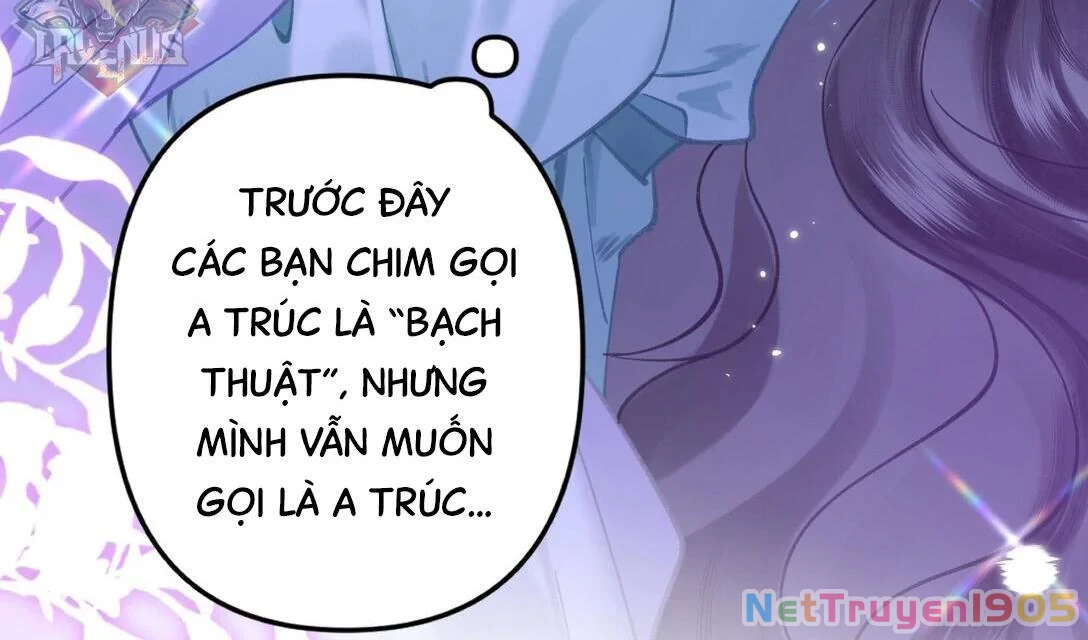 Đông Hải Tìm Mỹ Nhân Chapter 18 - Trang 2