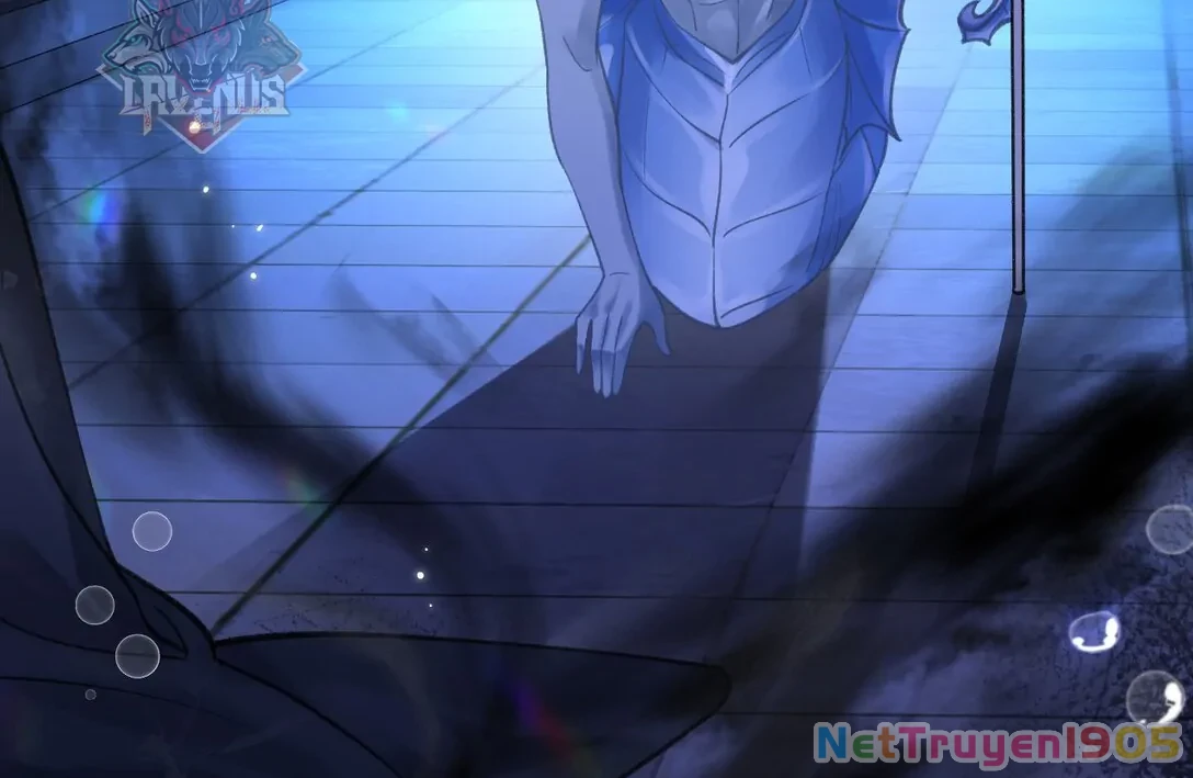 Đông Hải Tìm Mỹ Nhân Chapter 18 - Trang 2