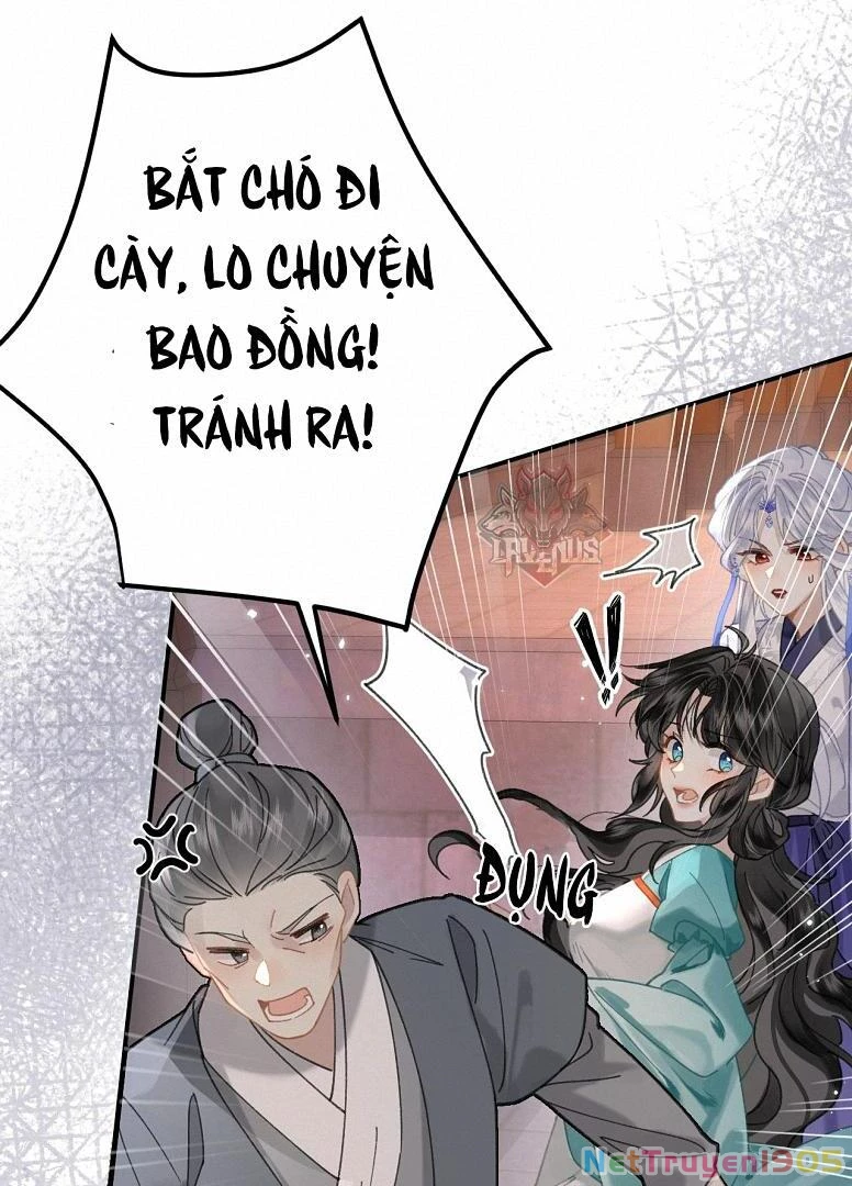 Đông Hải Tìm Mỹ Nhân Chapter 19 - Trang 2