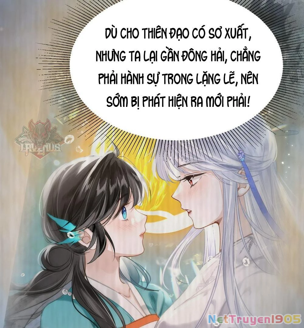 Đông Hải Tìm Mỹ Nhân Chapter 21 - Trang 2