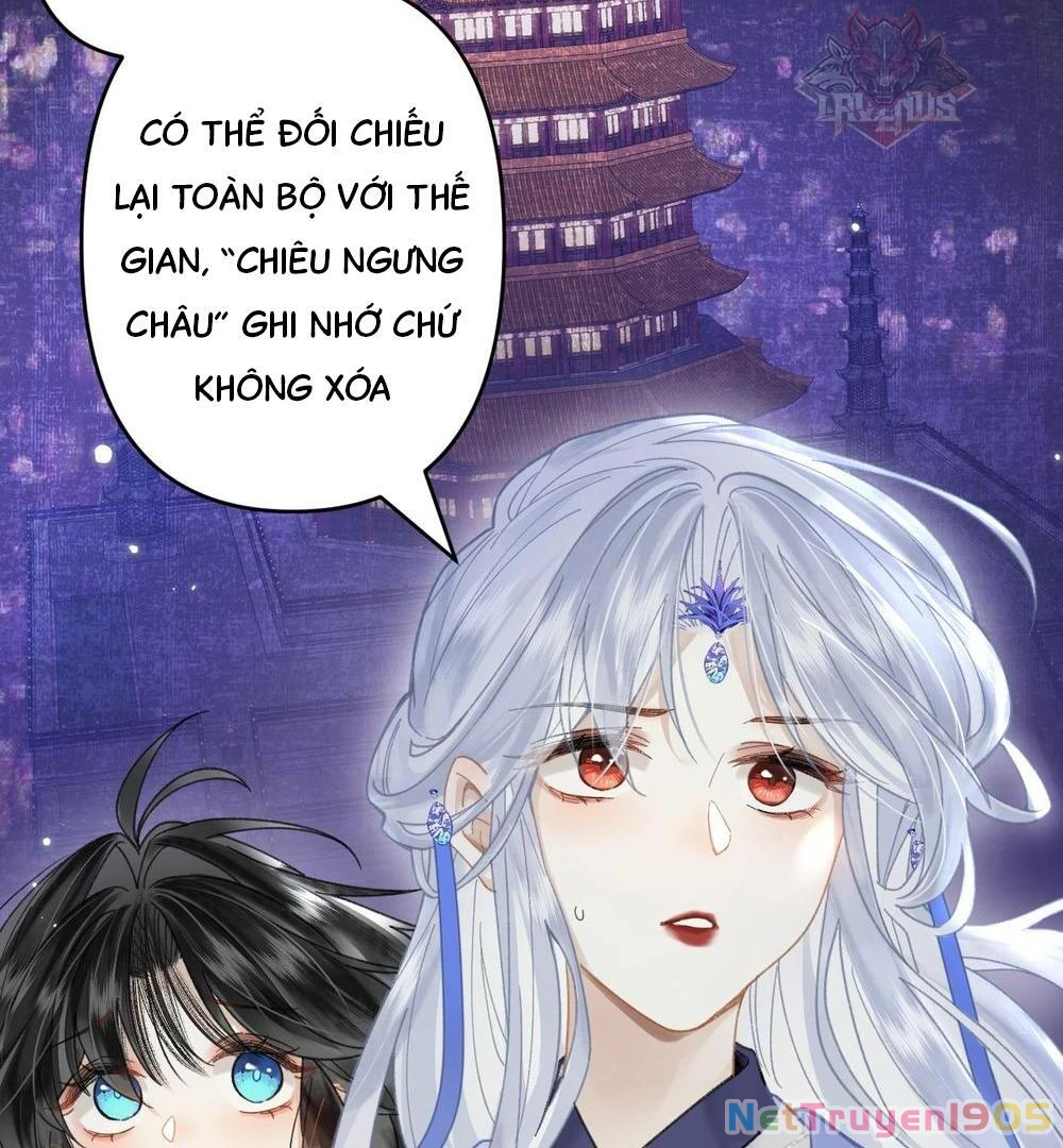 Đông Hải Tìm Mỹ Nhân Chapter 21 - Trang 2