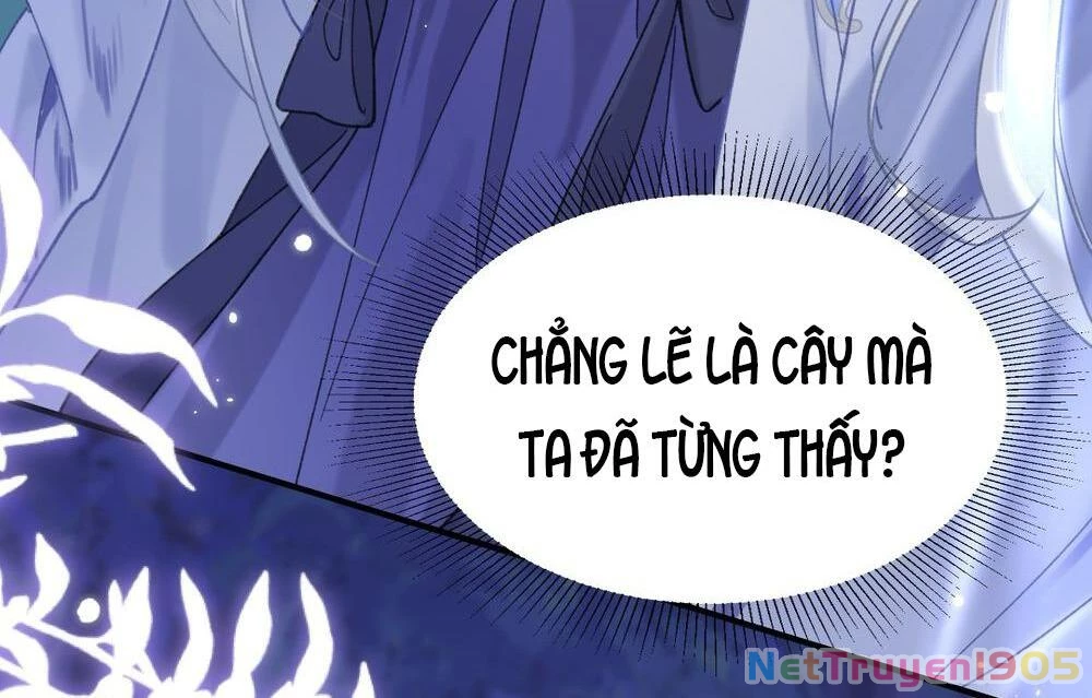 Đông Hải Tìm Mỹ Nhân Chapter 21 - Trang 2