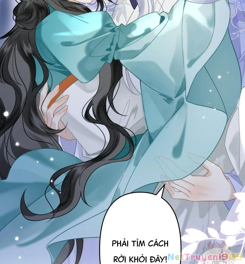 Đông Hải Tìm Mỹ Nhân Chapter 21 - Trang 2