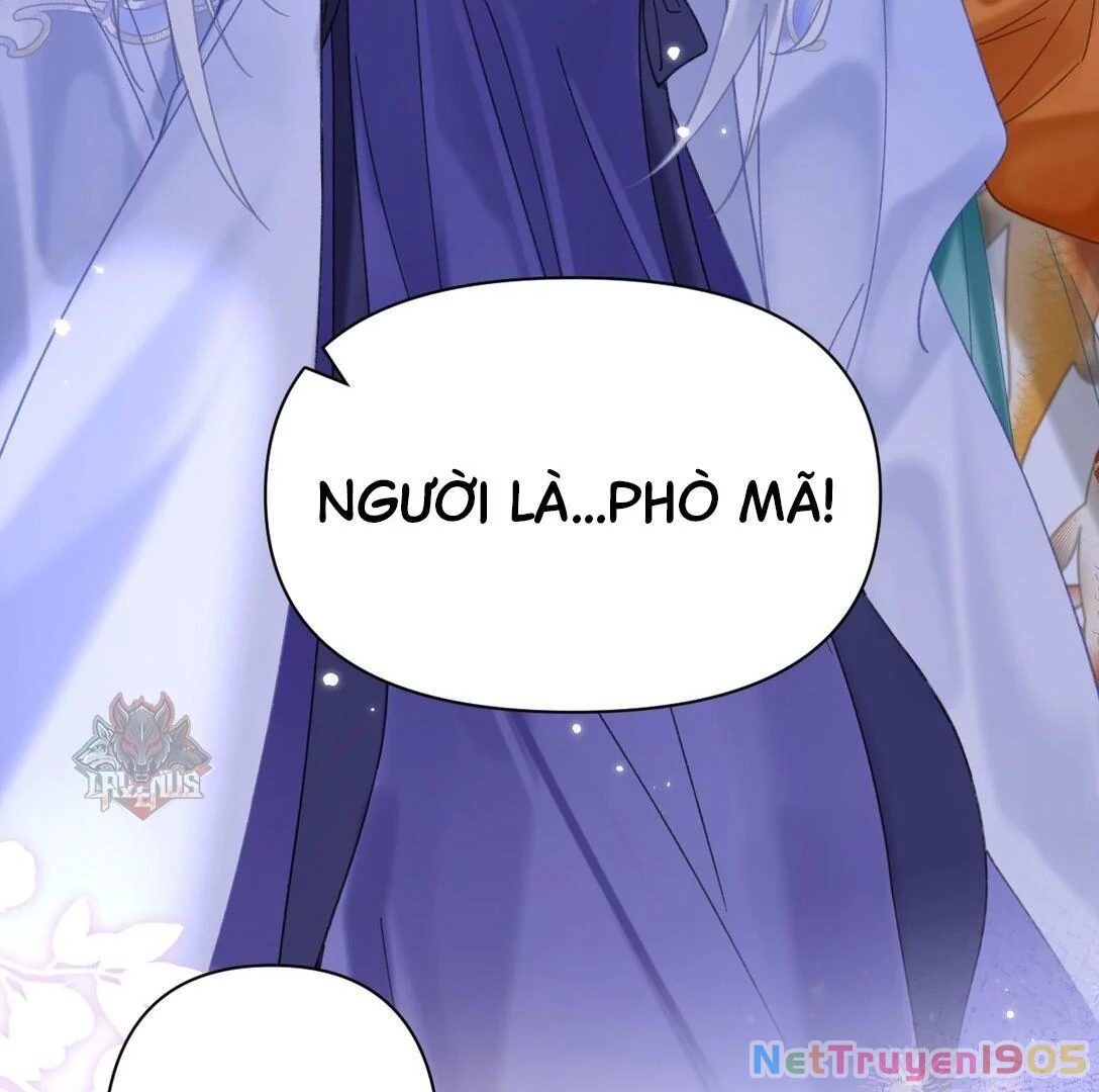 Đông Hải Tìm Mỹ Nhân Chapter 22 - Trang 2