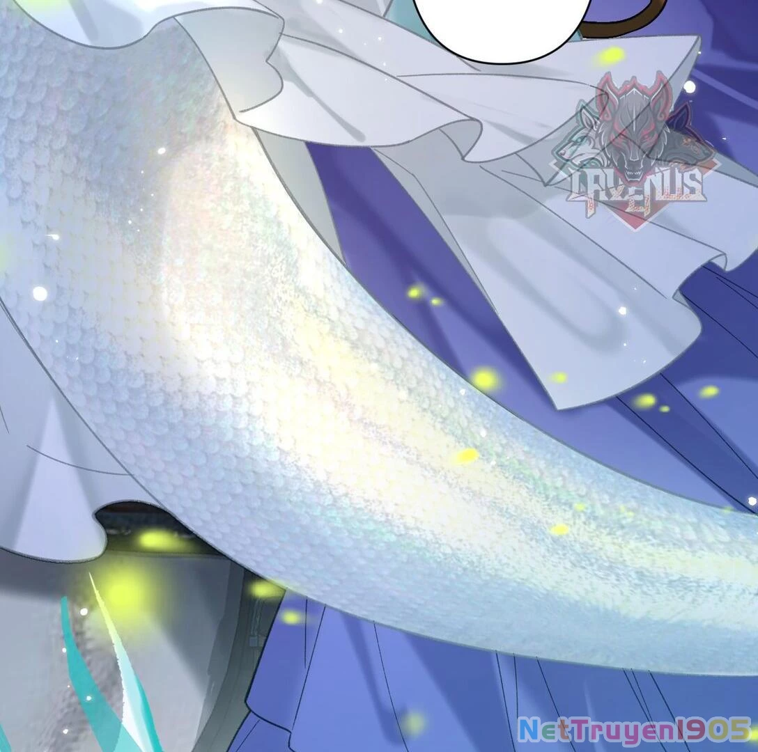 Đông Hải Tìm Mỹ Nhân Chapter 22 - Trang 2