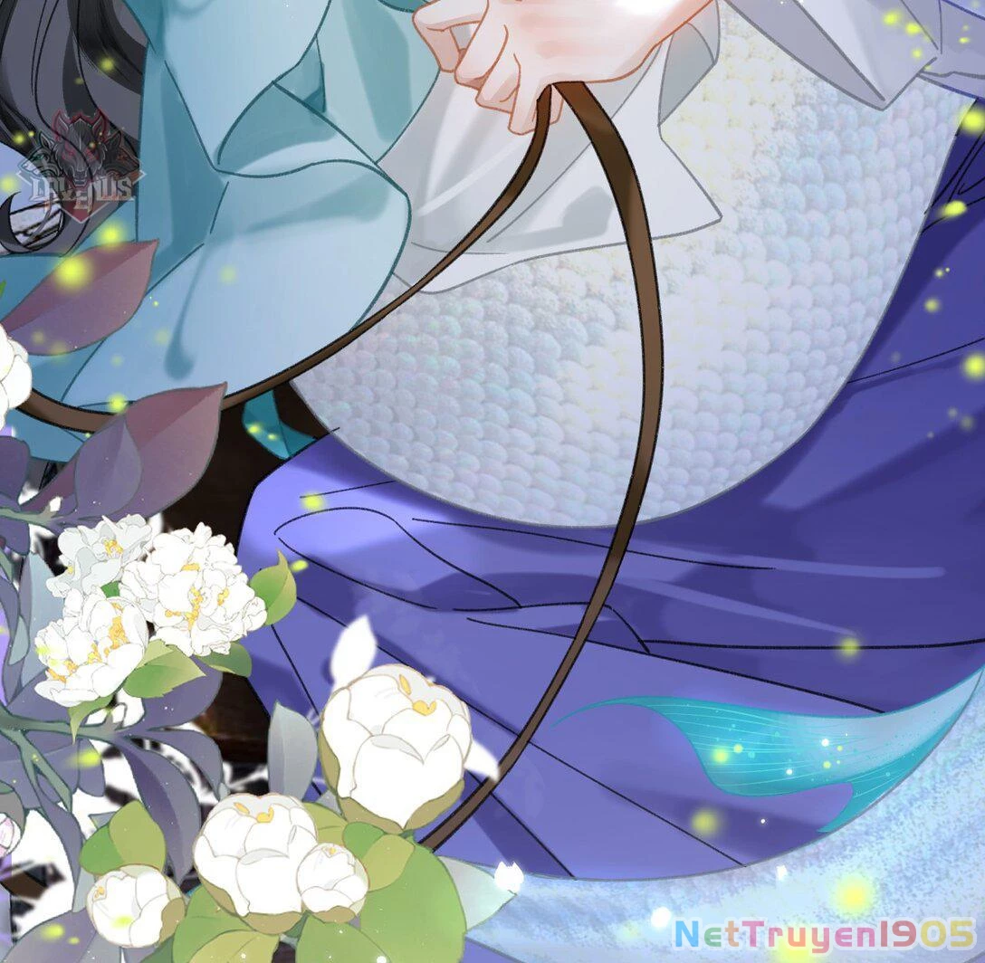 Đông Hải Tìm Mỹ Nhân Chapter 22 - Trang 2