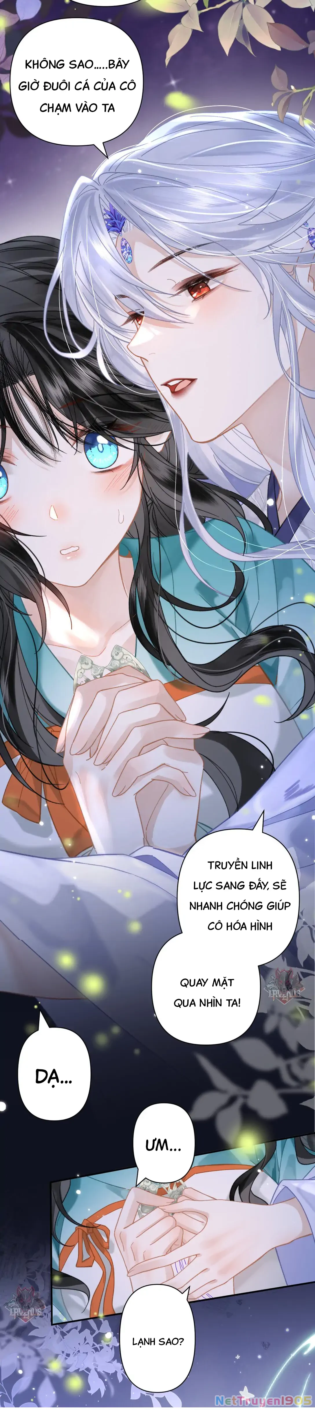 Đông Hải Tìm Mỹ Nhân Chapter 22 - Trang 2