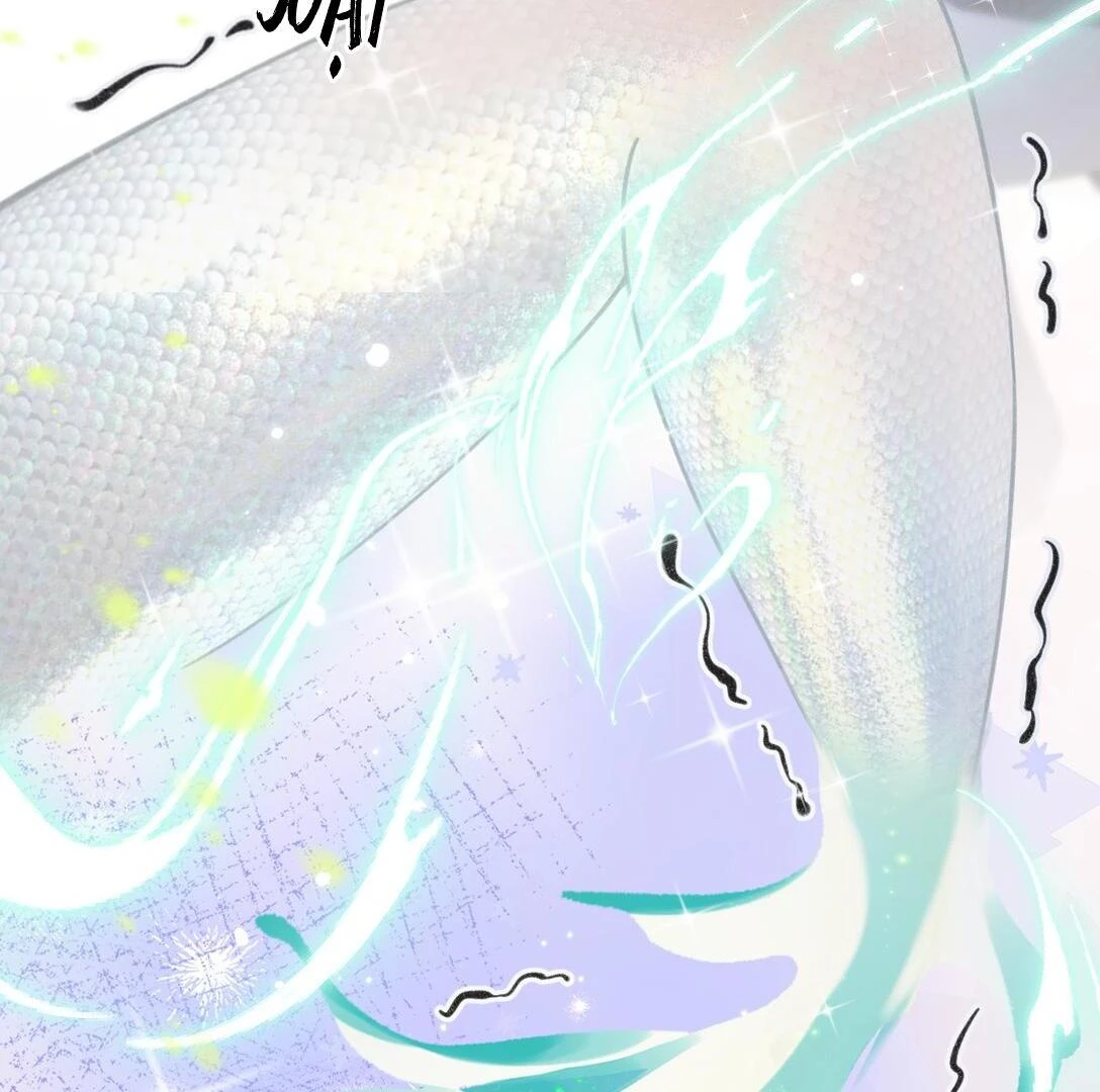 Đông Hải Tìm Mỹ Nhân Chapter 22 - Trang 2