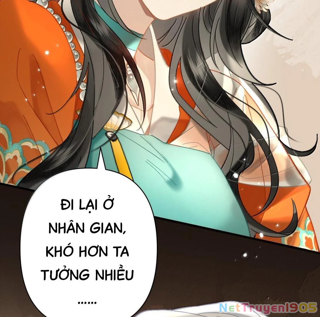 Đông Hải Tìm Mỹ Nhân Chapter 24 - Trang 2