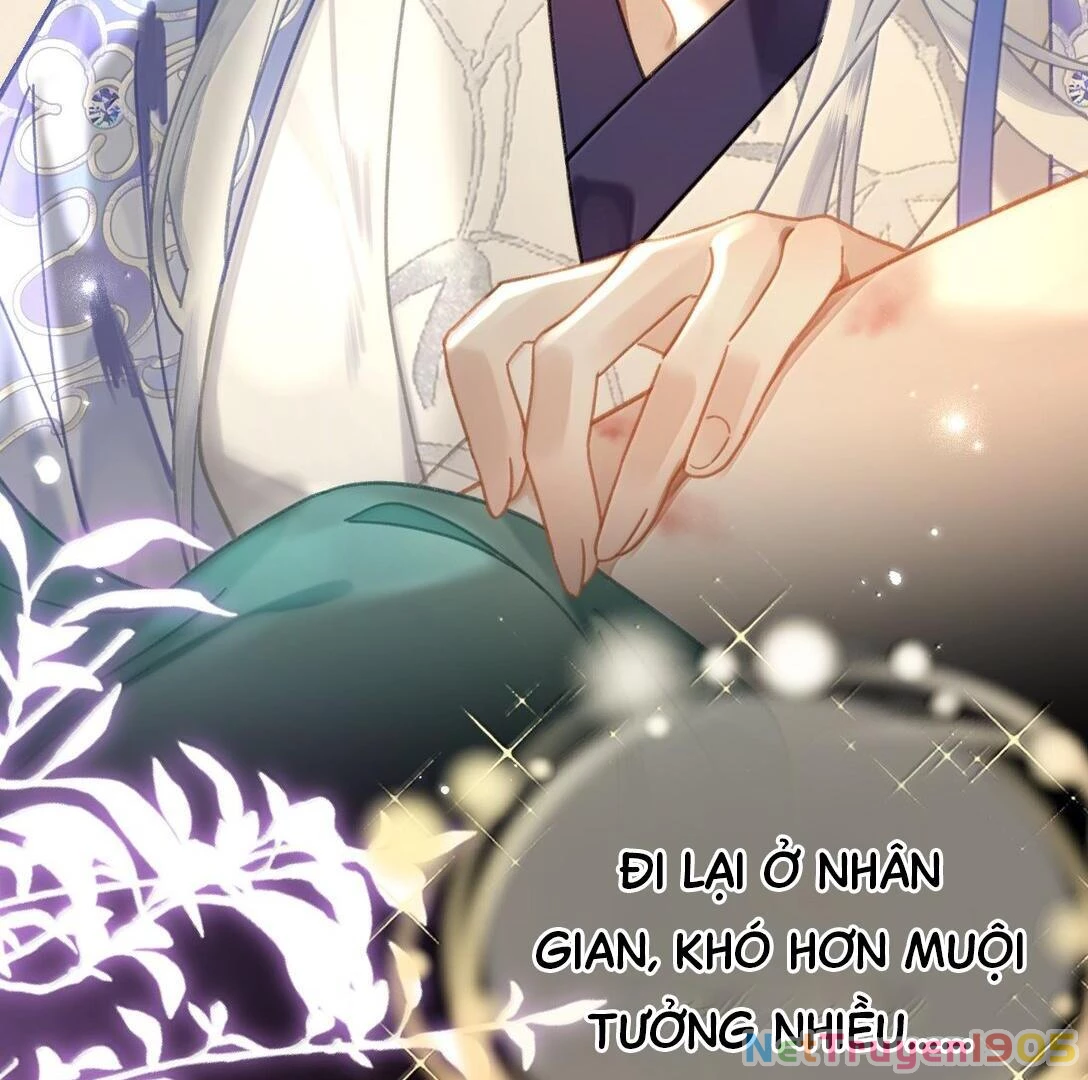 Đông Hải Tìm Mỹ Nhân Chapter 24 - Trang 2