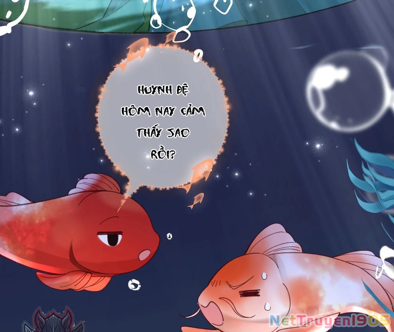 Đông Hải Tìm Mỹ Nhân Chapter 26 - Trang 2