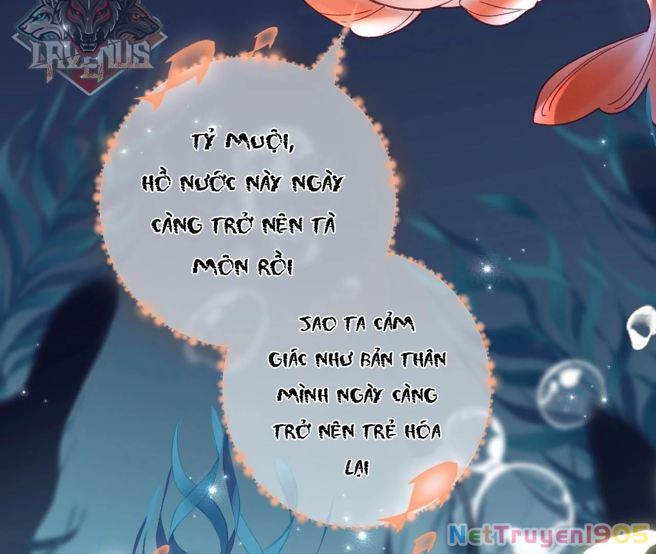 Đông Hải Tìm Mỹ Nhân Chapter 26 - Trang 2