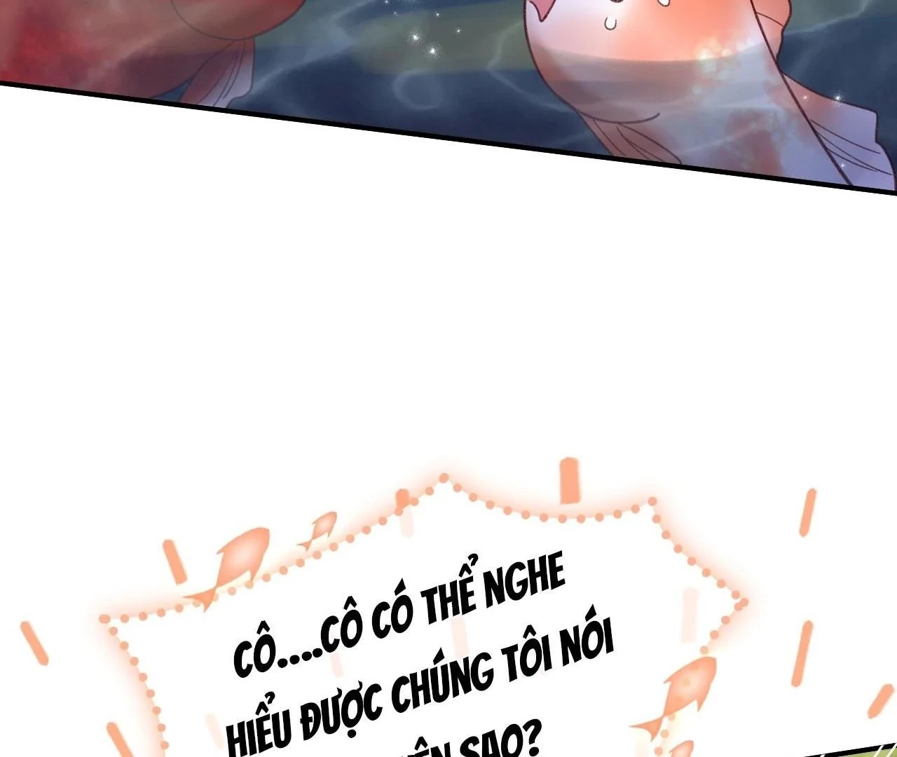 Đông Hải Tìm Mỹ Nhân Chapter 26 - Trang 2