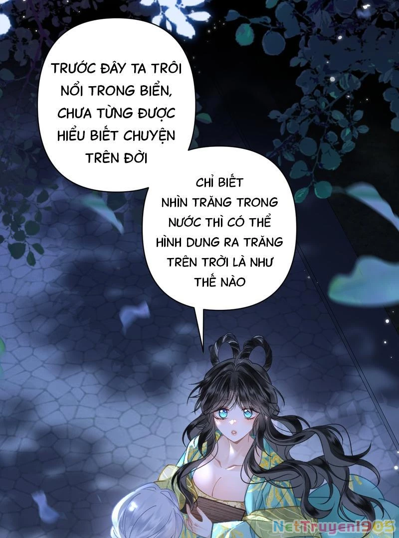 Đông Hải Tìm Mỹ Nhân Chapter 45 - Trang 2