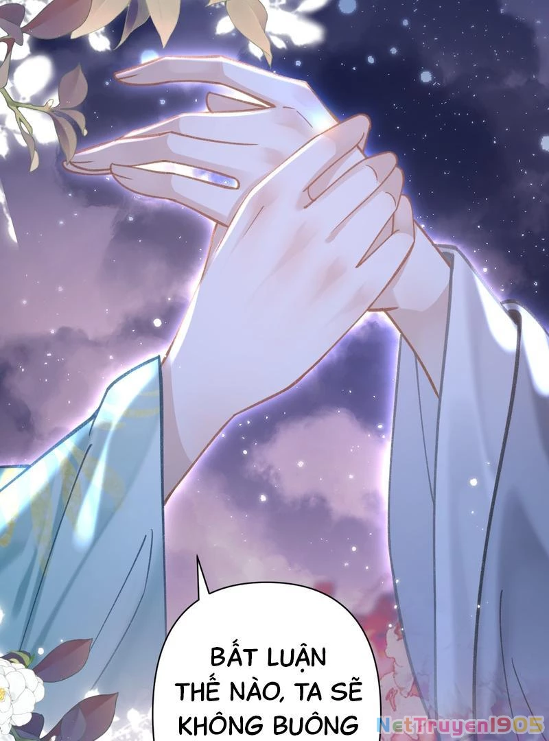 Đông Hải Tìm Mỹ Nhân Chapter 45 - Trang 2