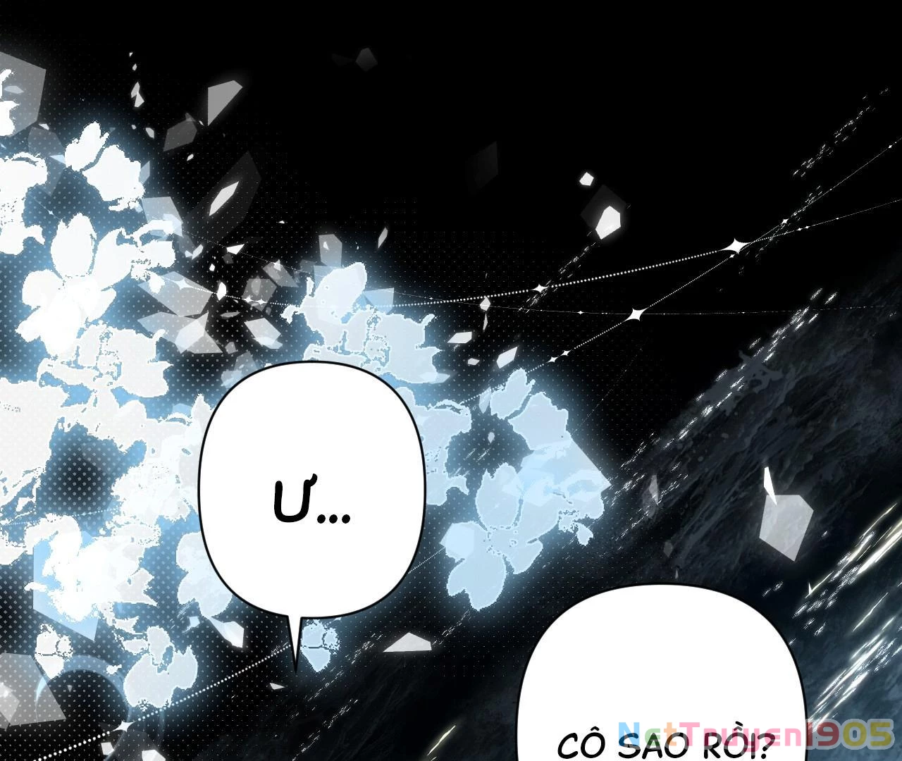 Đông Hải Tìm Mỹ Nhân Chapter 50 - Trang 2