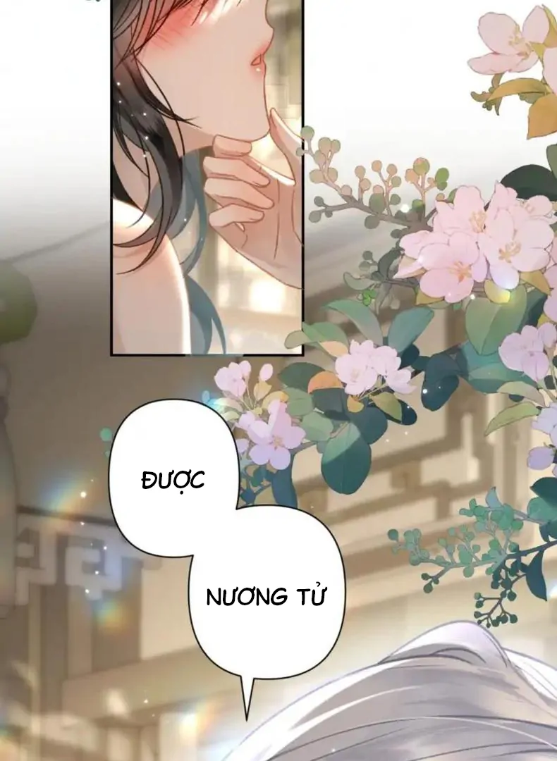 Đông Hải Tìm Mỹ Nhân Chapter 56 - Trang 2