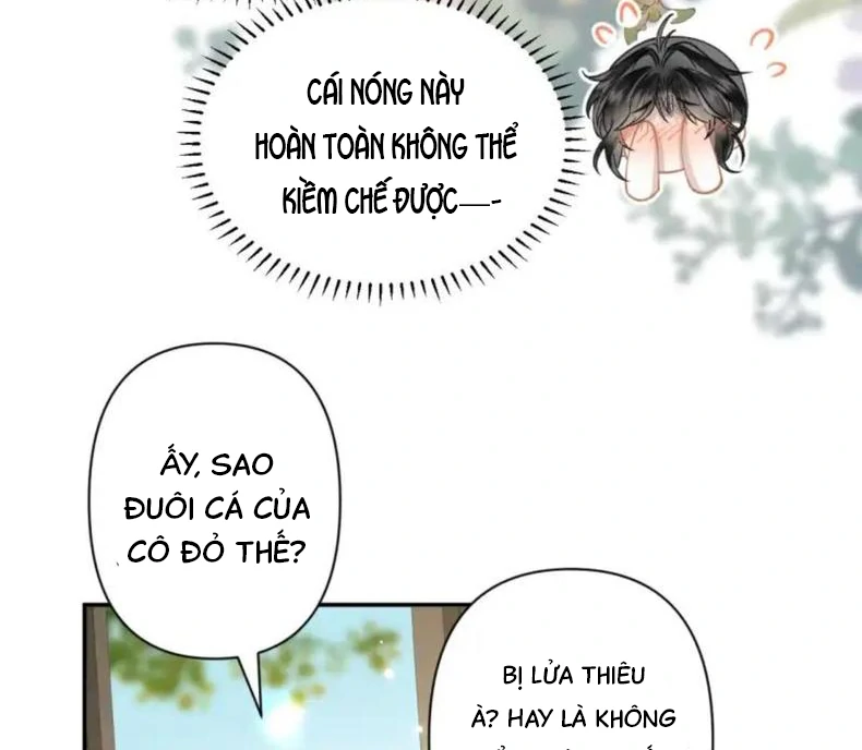 Đông Hải Tìm Mỹ Nhân Chapter 56 - Trang 2