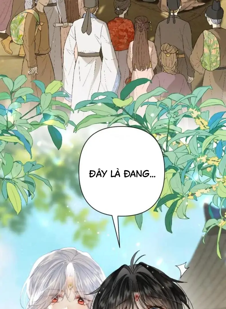 Đông Hải Tìm Mỹ Nhân Chapter 56 - Trang 2