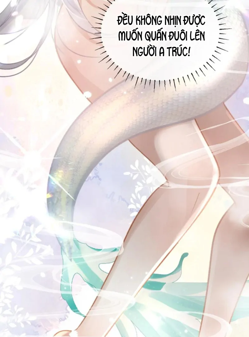 Đông Hải Tìm Mỹ Nhân Chapter 57 - Trang 2