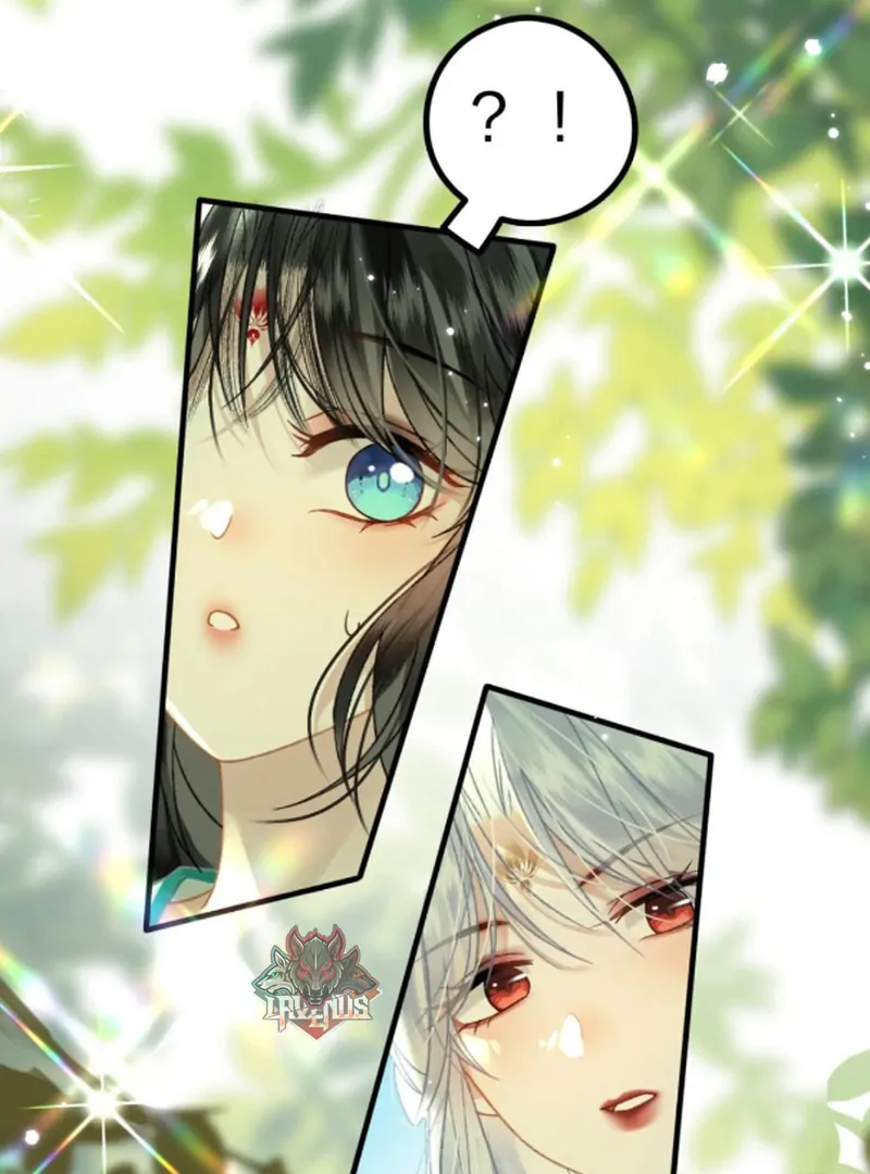 Đông Hải Tìm Mỹ Nhân Chapter 57 - Trang 2
