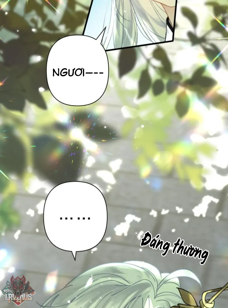 Đông Hải Tìm Mỹ Nhân Chapter 57 - Trang 2