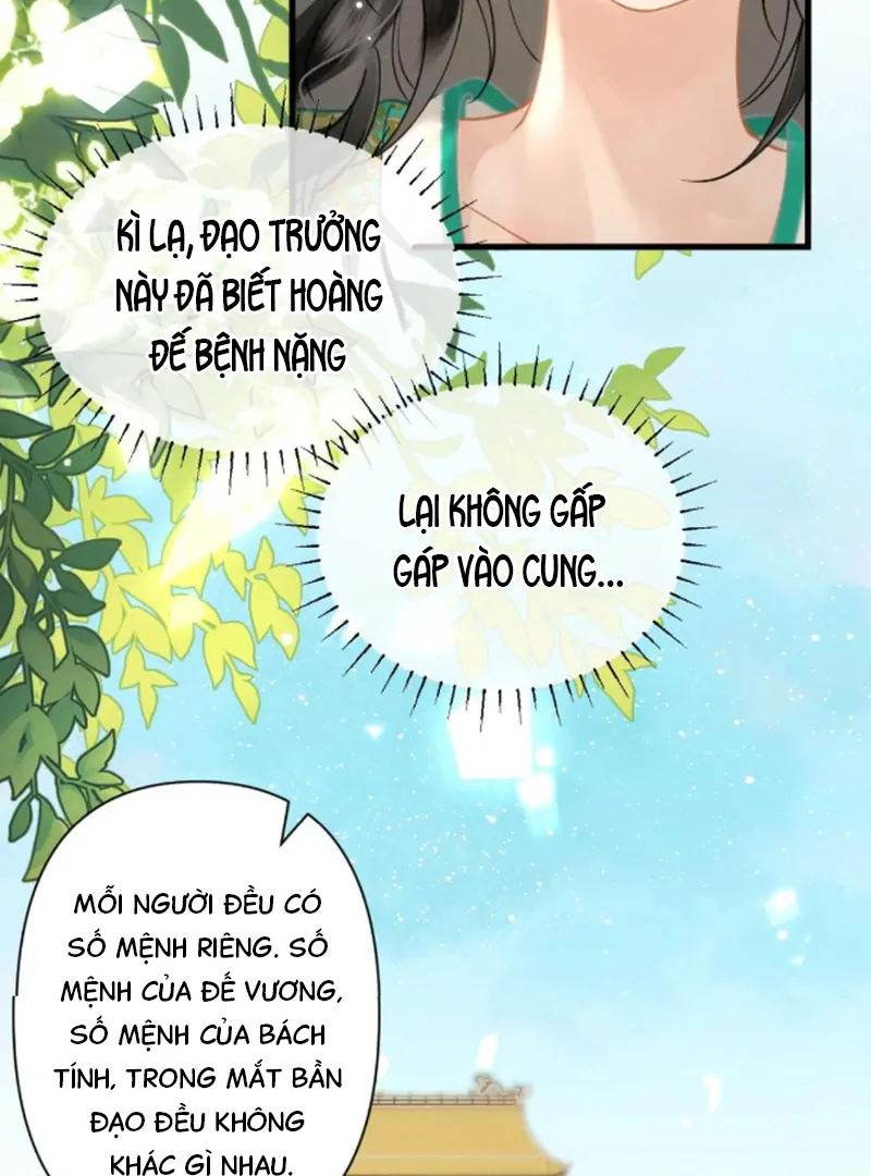 Đông Hải Tìm Mỹ Nhân Chapter 57 - Trang 2